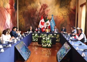 TITULA DE LA ST SOSTIENE ENCUENTRO CON AUTORIDADES LABORALES DE CANADÁ