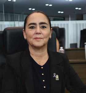 POSICIONAMIENTO DE LA DIPUTADA TERE CALZADA RESPECTO A EVENTOS