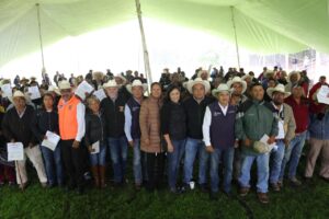 ENTREGA SEDEA FORRAJE A 260 PRODUCTORES PECUARIOS EN COLÓN Y TOLIMÁN