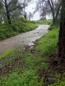 GOBIERNO DE PEDRO ESCOBEDO REFUERZA ACCIONES PREVENTIVAS ANTE TEMPORADA DE LLUVIAS
