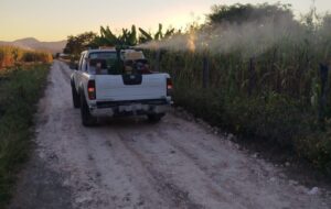 PARTICIPACIÓN CIUDADANA, CLAVE PARA PREVENIR EL DENGUE Y ELIMINAR CRIADEROS