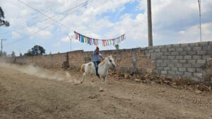 TRADICIÓN, DESTREZA Y EMOCIÓN EN LA CARRERA DE CINTAS EN LA FERIA DE AMEALCO 2026