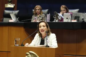 LA CAUSAL DE NULIDAD DE ELECCIONES POR INTERVENCIÓN EXTRANJERA BUSCA ANULAR TRIUNFOS DE LA OPOSICIÓN: SENADORA GUADALUPE MURGUÍA