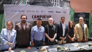 ANUNCIAN CAMPIRINO, LABERINTO MONUMENTAL DE MAÍZ EN HUIMILPAN