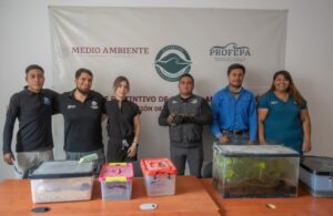 IMPA ASEGURA ESPECIES EXÓTICAS Y ENDÉMICAS DE QUERÉTARO
