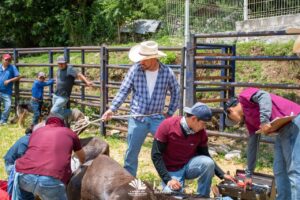 YUNI BENÍTEZ IMPULSA JORNADAS VETERINARIAS PARA FORTALECER EL TRABAJO EN EL CAMPO LANDENSE
